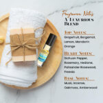 Hues of Blue Light Zesty Italian Men Cologne Body Oil - Image 4