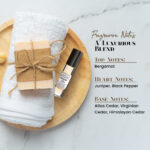 Berry The Hero Men Fragrance Body Oil - Image 4