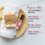 Vickies's Secret Bombshelter Paradise Women Perfume Body Oil - Image 4