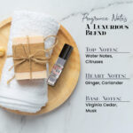 Hug On Me The Elementor Men Body Oil - Image 4