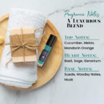 Pola Blue Cologne Body Oil - Image 4