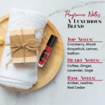 Pola Red Intense Cologne Body Oil for Men - Image 4