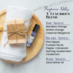 Meteorite Fragrance Body Oil for Men - Image 4