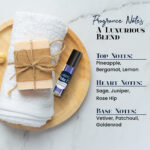 Pola 77 Fragrance Body Oil for Men - Image 4