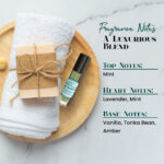 Jean Pants Gone To Dance Male Body Oil - Image 4